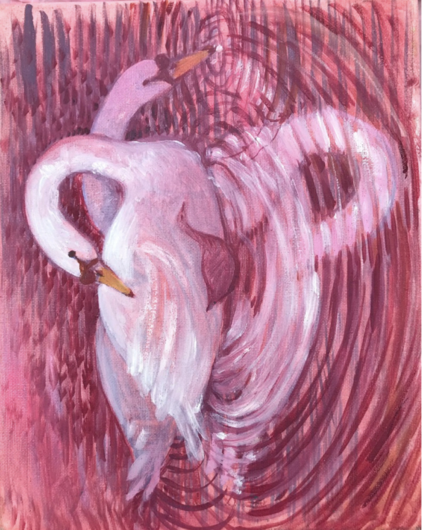Abigail Tulis - Swans